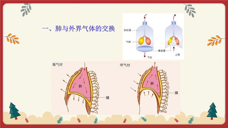 10.2人体细胞获得氧气的过程（2）（课件+教学设计+练习+学案）06