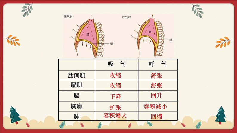 10.2人体细胞获得氧气的过程（2）（课件+教学设计+练习+学案）07