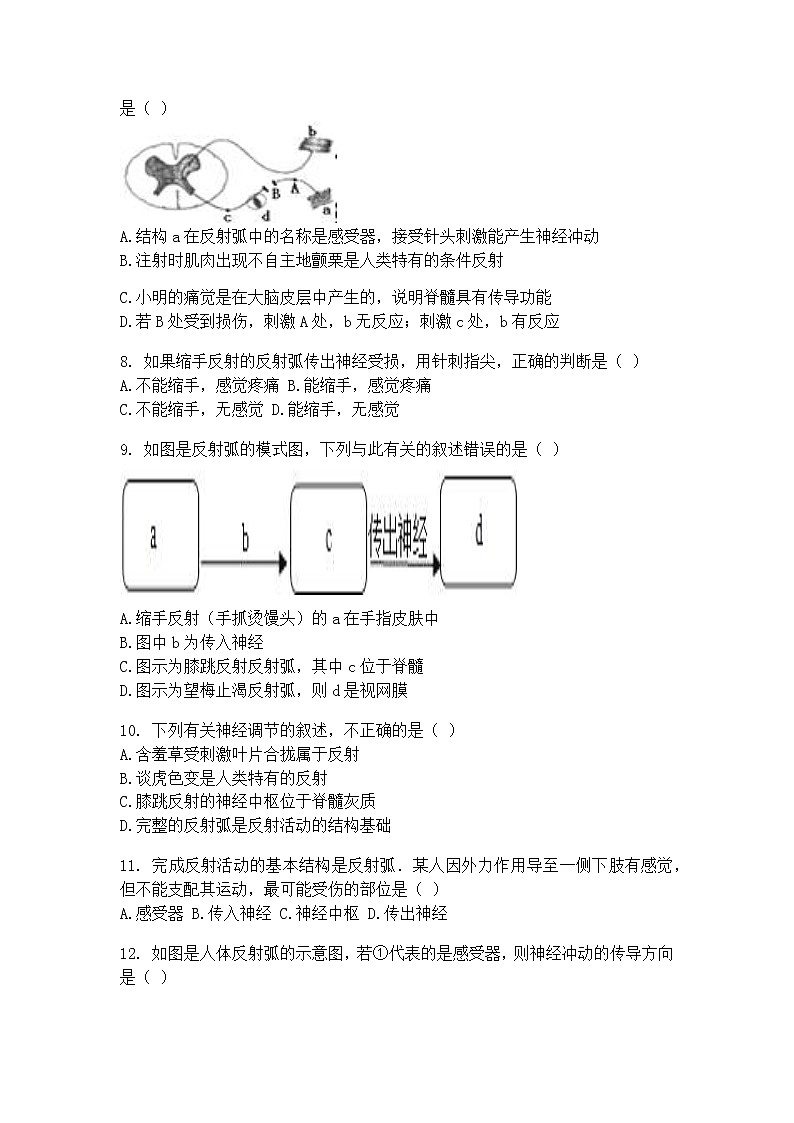 12.1神经系统与神经调节（2）（课件+教学设计+练习+学案）02