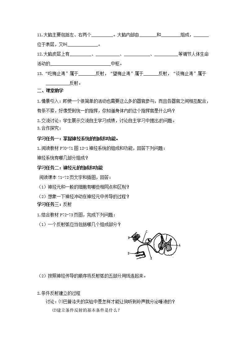 12.1神经系统与神经调节（2）（课件+教学设计+练习+学案）02