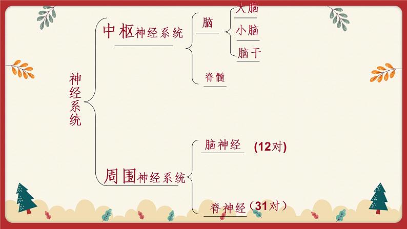 12.1神经系统与神经调节（1）（课件+教学设计+练习+学案）05