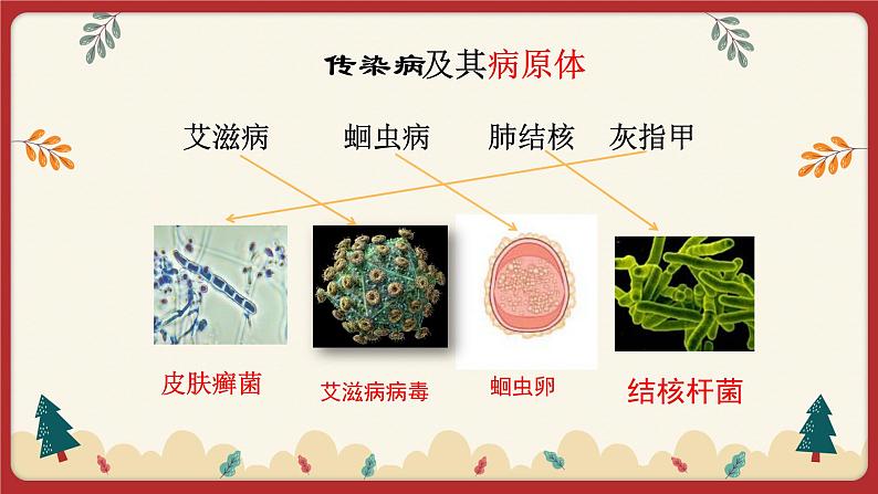 13.2 预防传染病（课件+教学设计+练习+学案）05