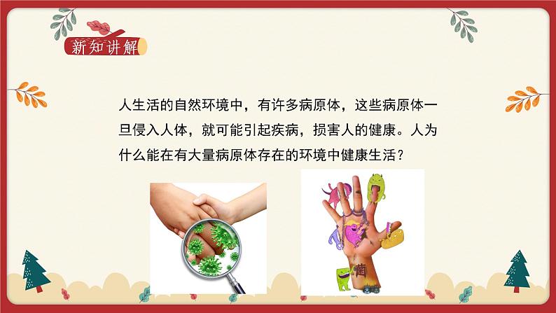 13.3 人体免疫（课件）第3页