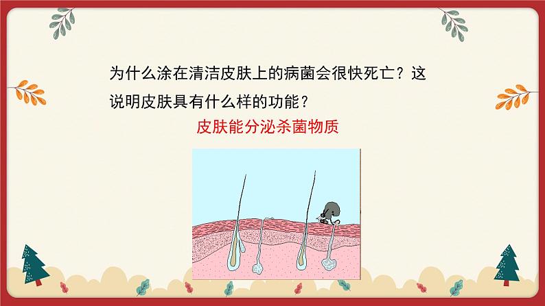 13.3 人体免疫（课件）第5页