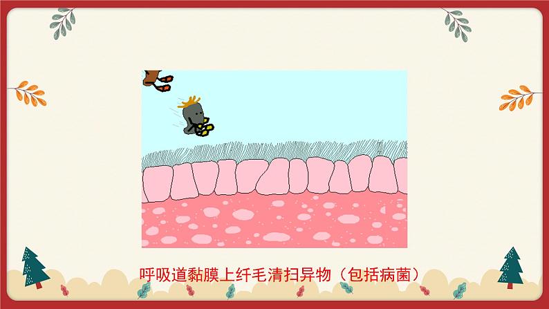 13.3 人体免疫（课件）第8页