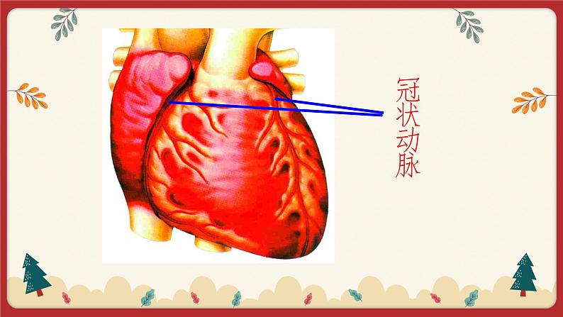 13.4 当代主要疾病和预防（课件+教学设计+练习+学案）06