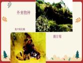 14.1人類活動對生物圈的影響（課件+教學設(shè)計+練習+學案）
