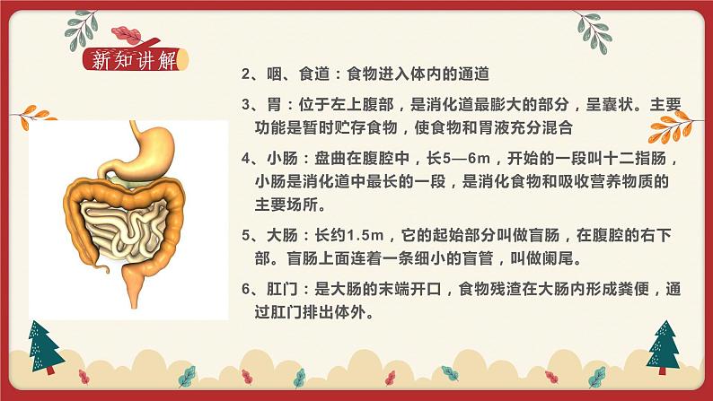8.2食物的消化和营养物质的吸收（1）（课件+教学设计+练习+学案）07