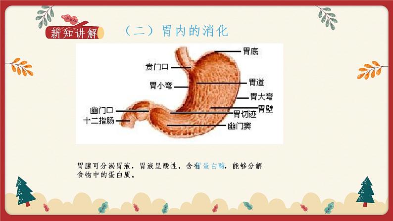 8.2食物的消化和营养物质的吸收（2）（课件+教学设计+练习+学案）03