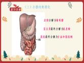 8.2食物的消化和营养物质的吸收（2）（课件+教学设计+练习+学案）