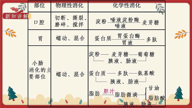 8.2食物的消化和营养物质的吸收（2）（课件+教学设计+练习+学案）06