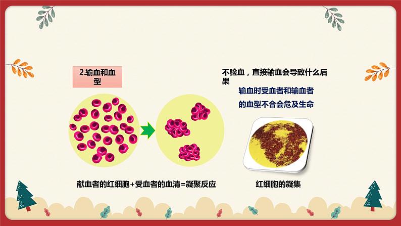 9.1血液（2）（课件+教学设计+练习+学案）06