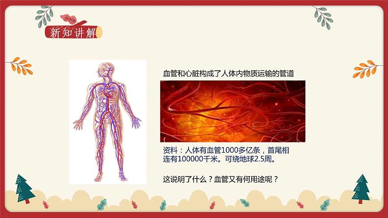 9.2血液循环（1）（课件+教学设计+练习+学案）02