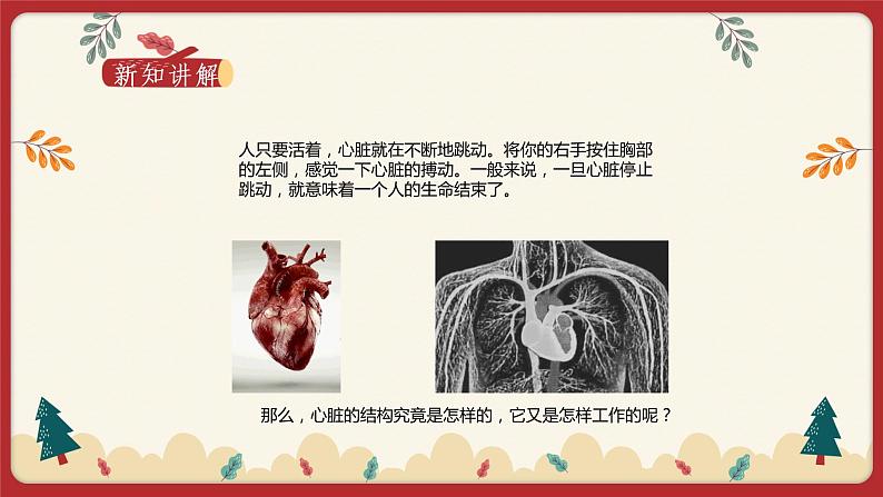 9.2血液循环（2）（课件+教学设计+练习+学案）02