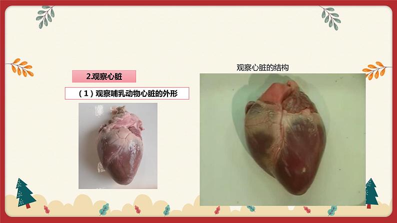 9.2血液循环（2）（课件+教学设计+练习+学案）04