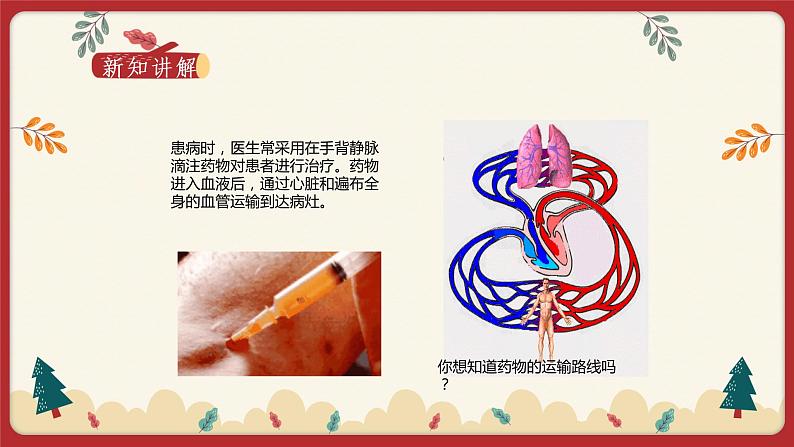 9.2血液循环（3）（课件+教学设计+练习+学案）02