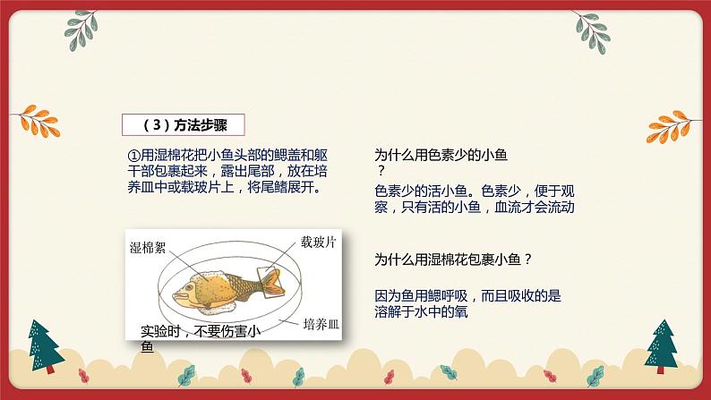 9.2血液循环（3）（课件+教学设计+练习+学案）04