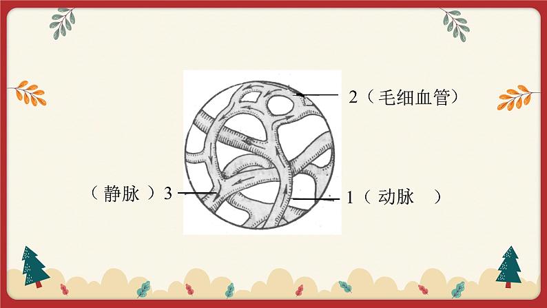 9.2血液循环（3）（课件+教学设计+练习+学案）07