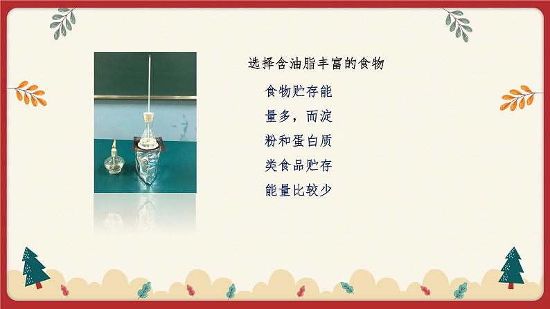 10.1食物中能量的释放（课件）第6页