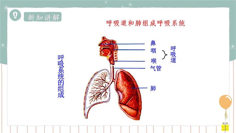 10.2人体细胞获得氧气的过程（课件+教案+练习+导学案）04