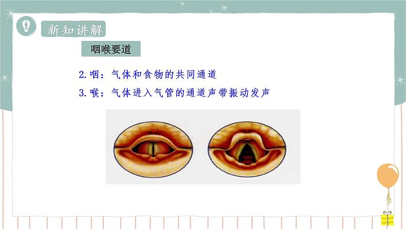 10.2人体细胞获得氧气的过程（课件+教案+练习+导学案）07