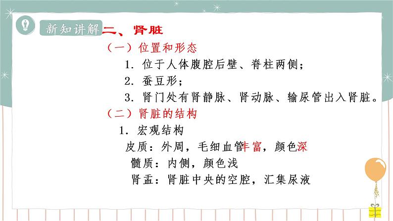 11.2 尿的形成与排出（1）（课件+教案+练习+导学案）04