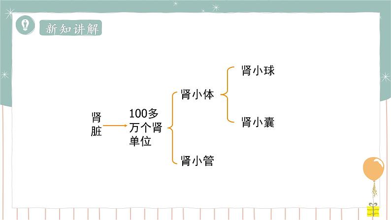 11.2 尿的形成与排出（1）（课件+教案+练习+导学案）06