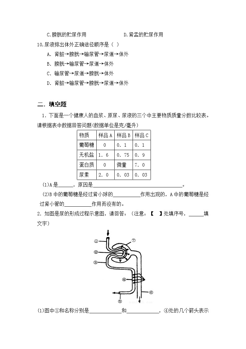 11.2 尿的形成与排出（1）（课件+教案+练习+导学案）02