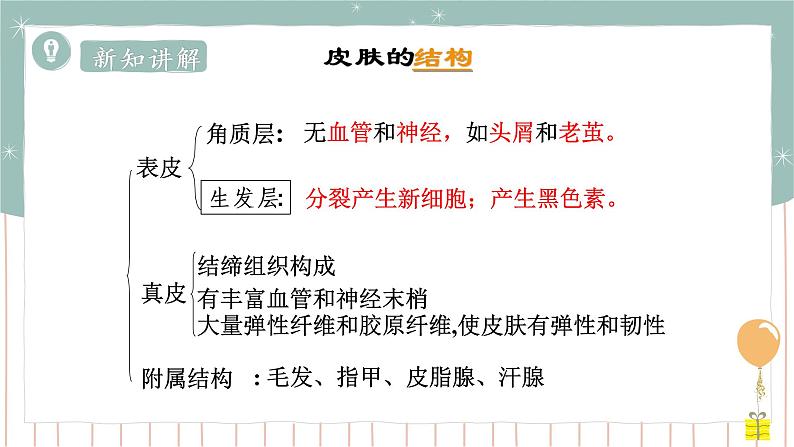 11.3 皮肤与汗液分泌（课件+教案+练习+导学案）02