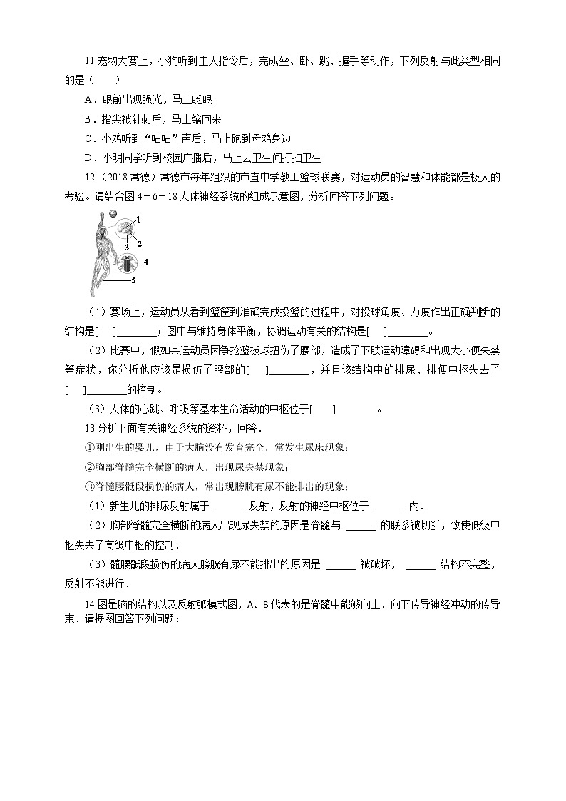 12.1神经系统与神经调节（2）（课件+教案+练习+导学案）02