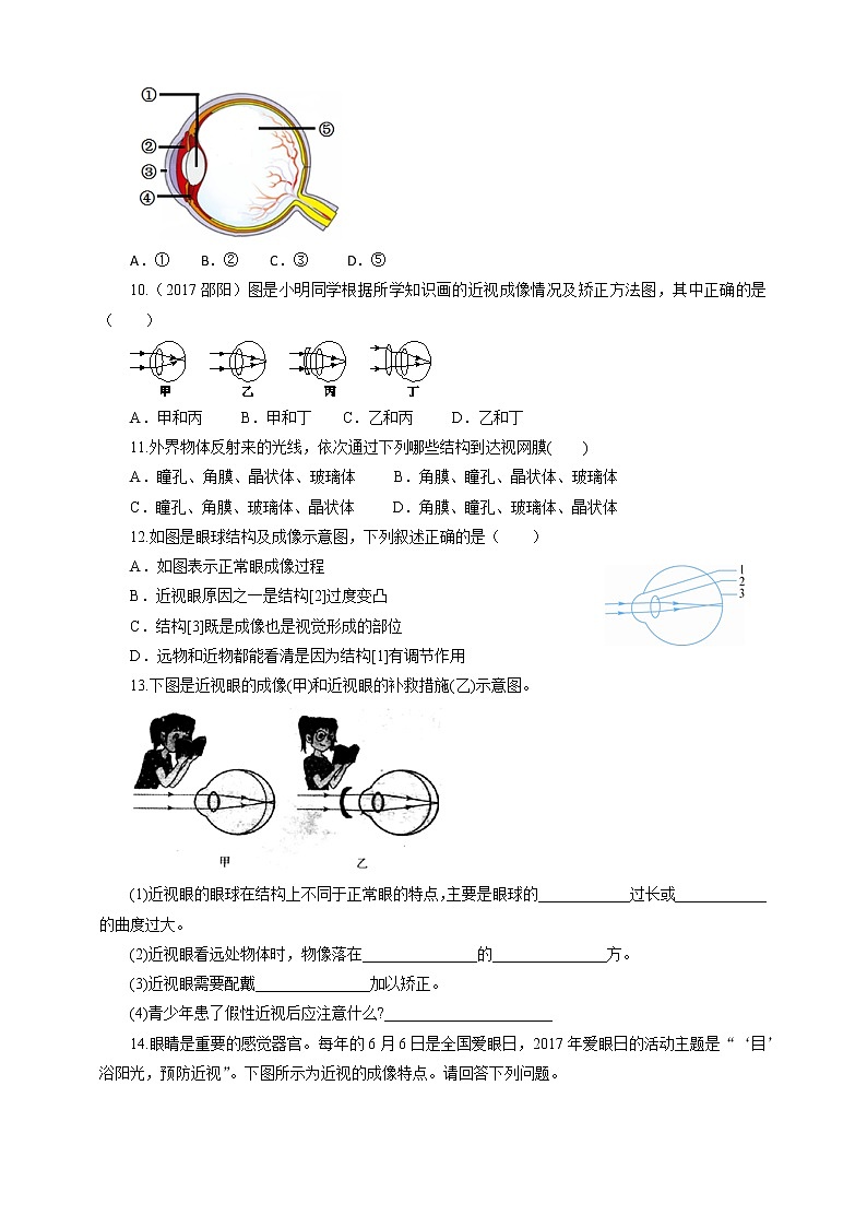 12.2感受器和感觉器官（1）（课件+教案+练习+导学案）02