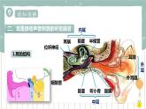 12.2感受器和感觉器官（2）（课件+教案+练习+导学案）