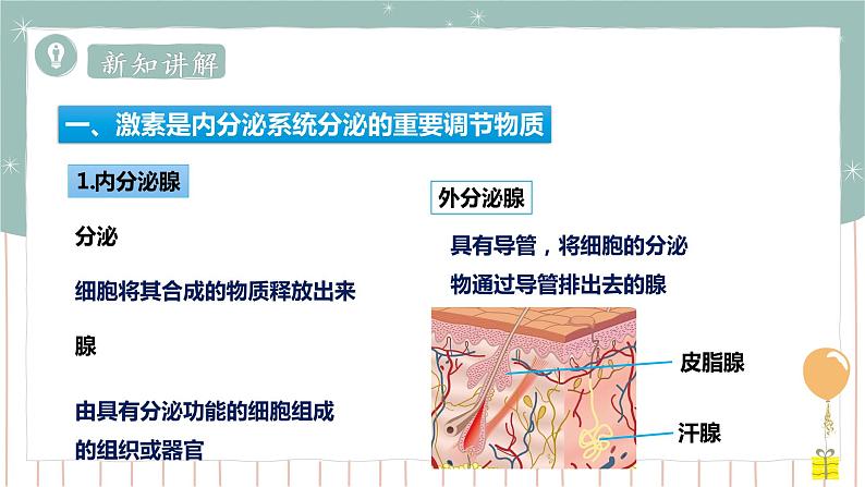 12.3激素调节（课件+教案+练习+导学案）03