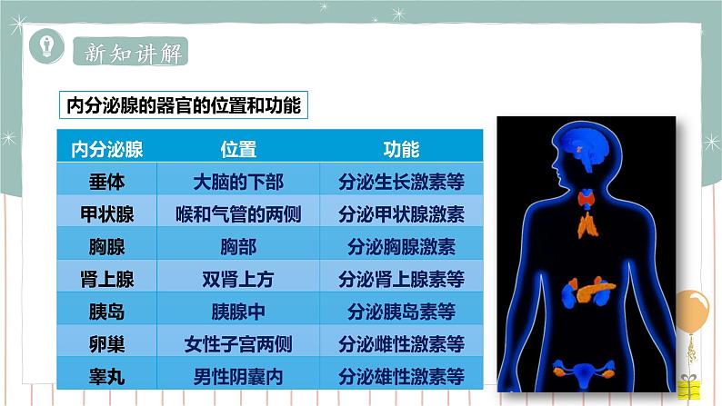 12.3激素调节（课件+教案+练习+导学案）06