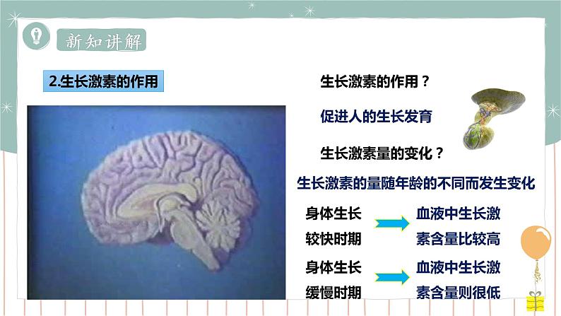 12.3激素调节（课件+教案+练习+导学案）08