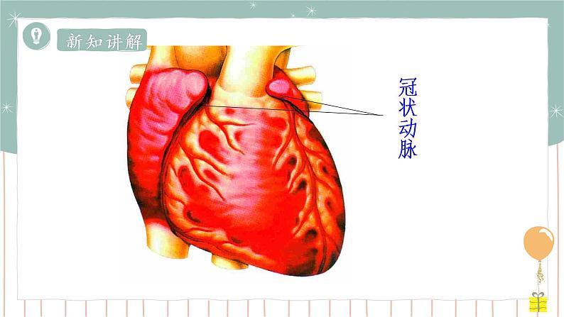 13.4 当代主要疾病和预防（课件+教案+练习+导学案）06