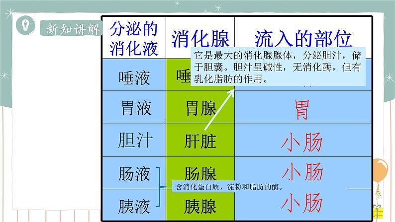 8.2食物的消化和营养物质的吸收（课件+教案+练习+导学案）06