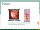 9.1血液（课件+教案+练习+导学案）