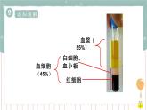 9.1血液（课件+教案+练习+导学案）