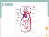 9.2血液循环（课件+教案+练习+导学案）