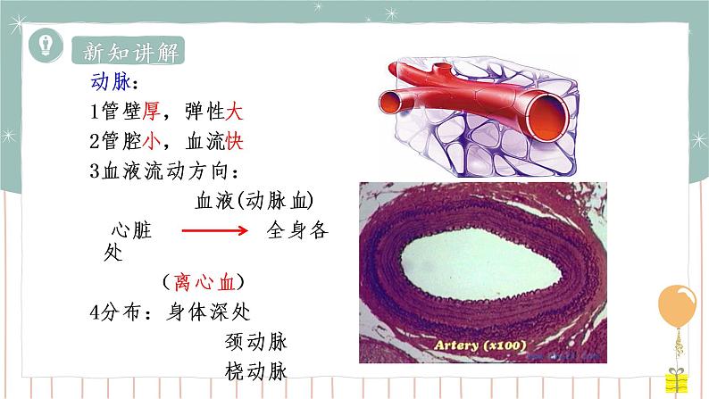 9.2血液循环（课件+教案+练习+导学案）03