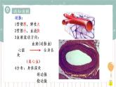 9.2血液循环（课件+教案+练习+导学案）