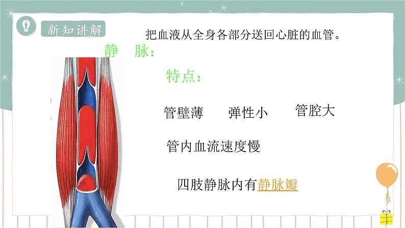 9.2血液循环（课件+教案+练习+导学案）06