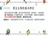 22.2原生生物的主要类群（课件+教学设计+练习+学案）