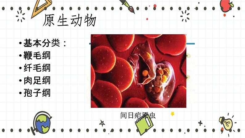 22.2原生生物的主要类群（课件+教学设计+练习+学案）08