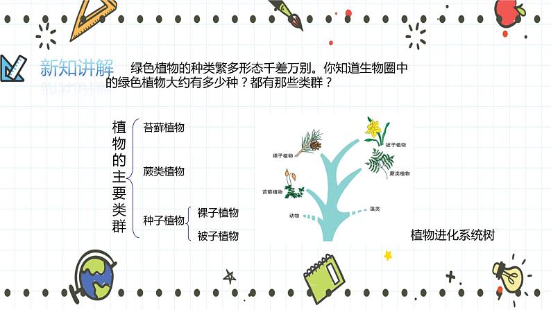 22.3植物的主要类群（1）-课件第3页