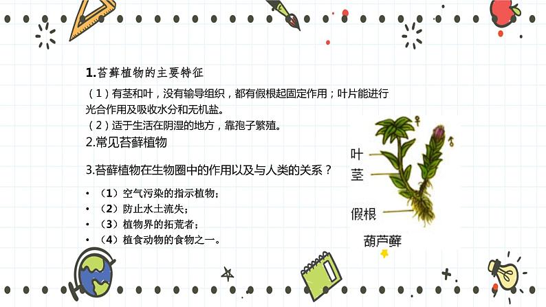 22.3植物的主要类群（1）-课件第6页