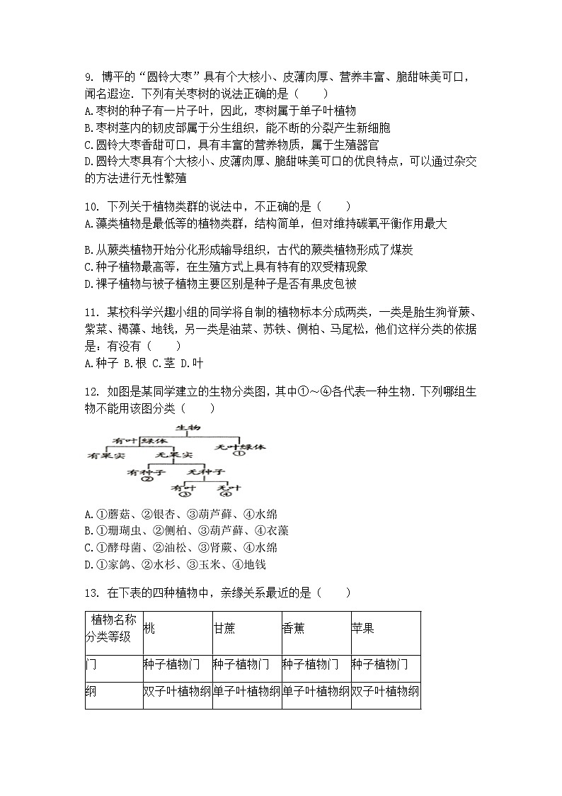 22.3植物的主要类群（2）（课件+教学设计+练习+学案）02