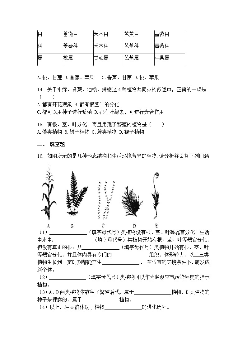 22.3植物的主要类群（2）（课件+教学设计+练习+学案）03