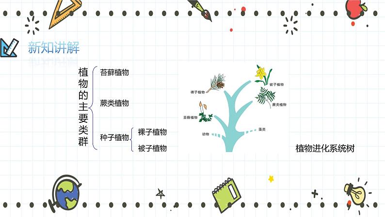 22.3植物的主要类群（2）（课件+教学设计+练习+学案）03